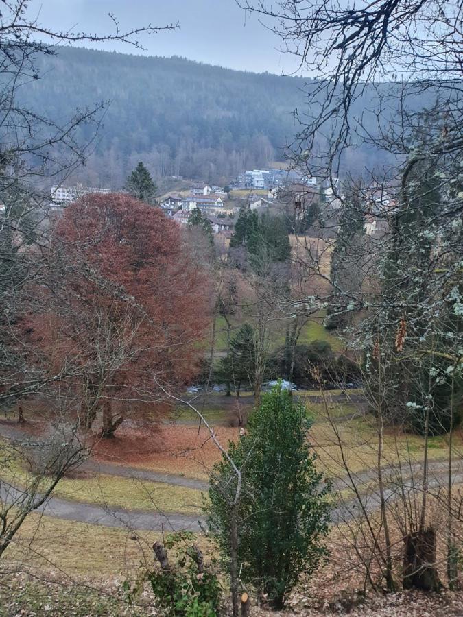 Ferienwohnung Nina Direkt In Zentrum Bad Wildbad Zewnętrze zdjęcie