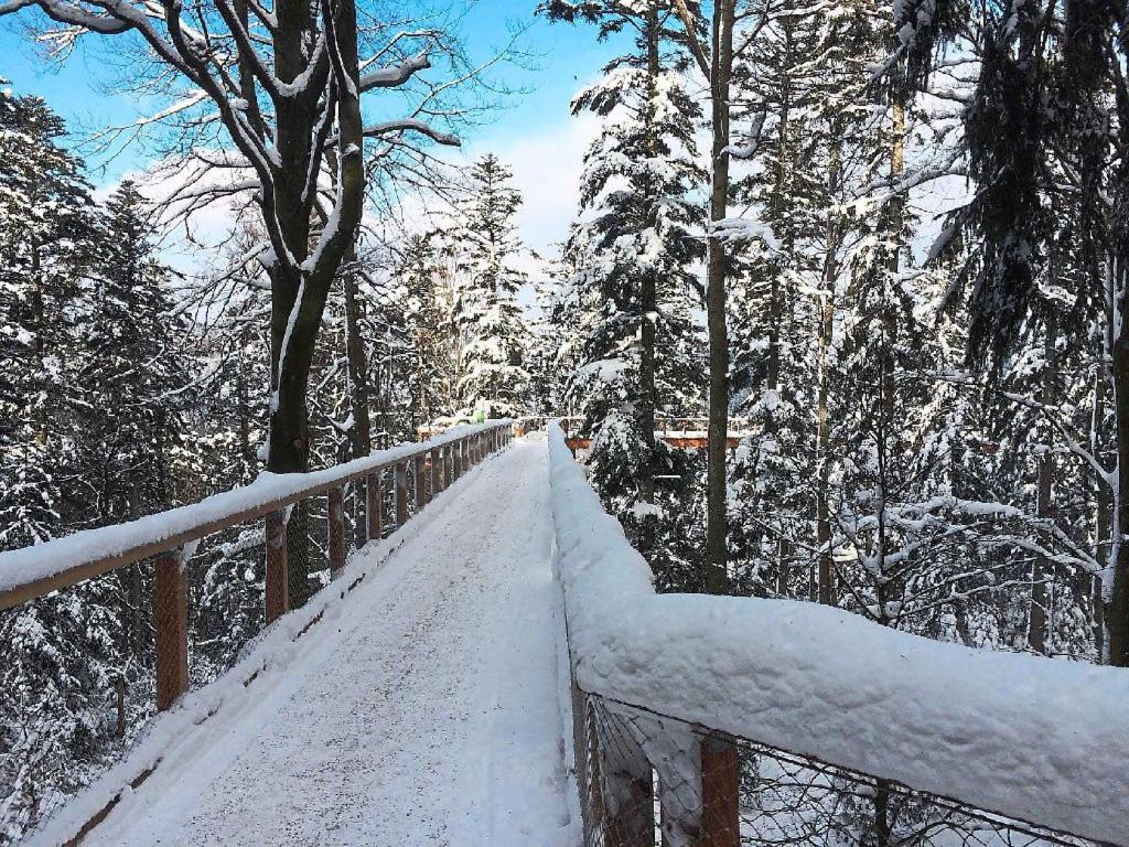 Ferienwohnung Nina Direkt In Zentrum Bad Wildbad Zewnętrze zdjęcie